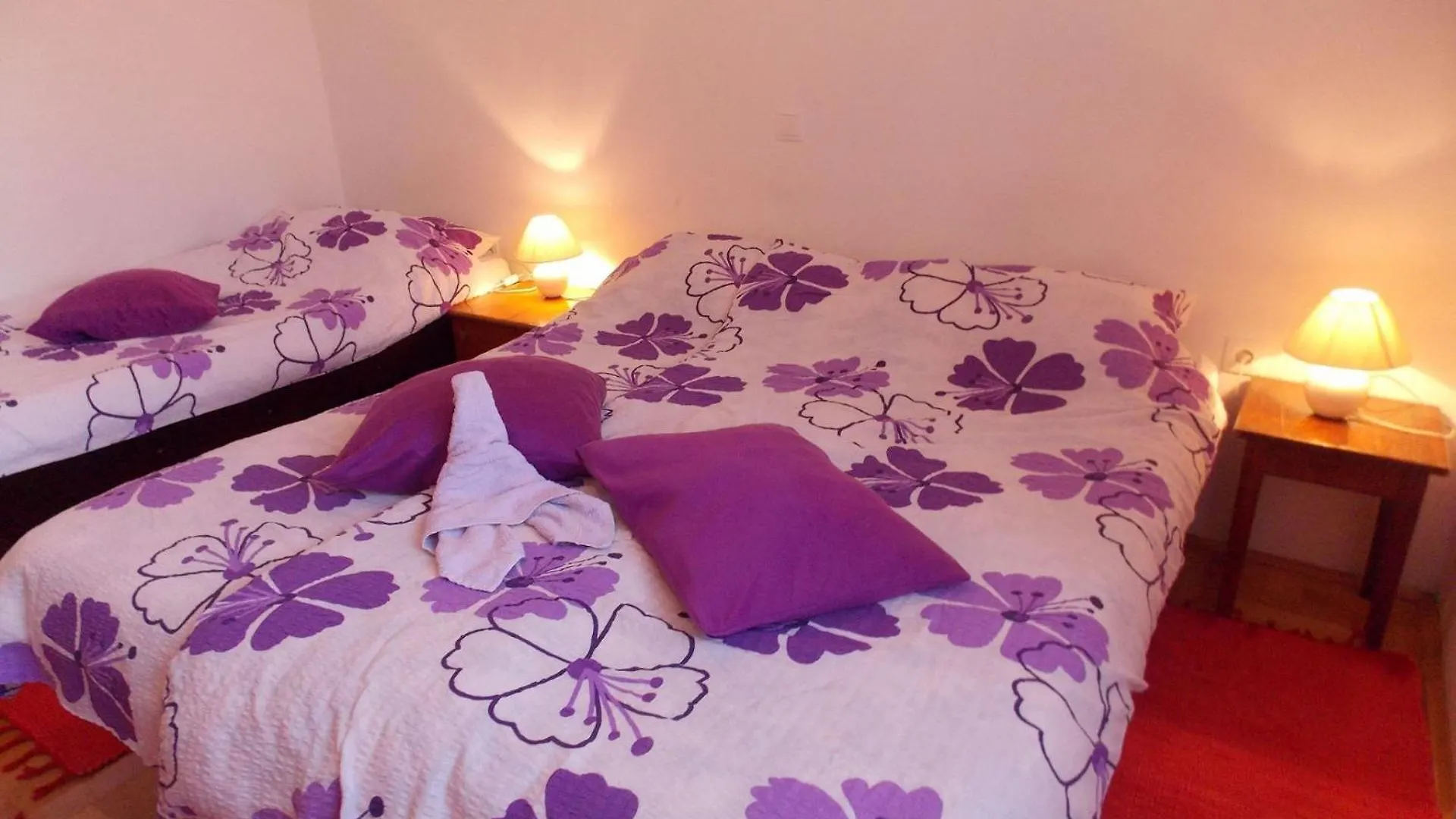 House Andro Bibinje